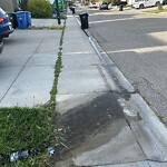 Catch Basin / Storm Drain Concerns at 65 Sherwood Ci NW