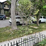 Debris on Street, Sidewalk, Boulevard at 524 11 Av NE