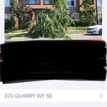 Tree Maintenance - City Owned at 370 Quarry Wy SE