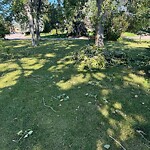 Debris on Street, Sidewalk, Boulevard at 1227 Beverley Bv SW