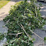 Debris on Street, Sidewalk, Boulevard at 1940 47 Av SW