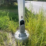 Streetlight Damage at 3832 19 St NW