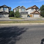 Tree Maintenance - City Owned at 3 Brightoncrest Cm SE