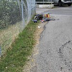 Debris on Street, Sidewalk, Boulevard at 190 Gosling Wy SE