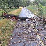 Debris on Street, Sidewalk, Boulevard at 7110 15 St SE