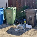 Debris on Backlane at 472 72 Av NE