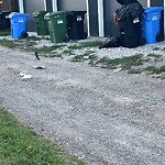 Debris on Backlane at 5505 6 St SW