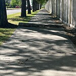 Sidewalk or Curb - Repair at 15 Citadel Peak Ci NW