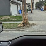 Streetlight Damage at 3010 4 St NW