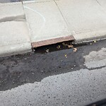 Catch Basin / Storm Drain Concerns at Coach Hill Calgary Ab