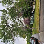 Tree Maintenance - City Owned at 14 Hemlock Crescent SW Unit 5208