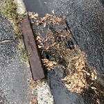 Catch Basin / Storm Drain Concerns at 719 29 Av SW