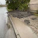 Debris on Street, Sidewalk, Boulevard at 1435 34 Av SE