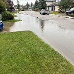 Catch Basin / Storm Drain Concerns at 214 Citadel Meadow Gv NW