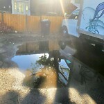 Catch Basin / Storm Drain Concerns at 903 E 44 St SE Forest Lawn   Forest Heights