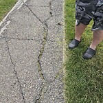 Sidewalk or Curb - Repair at 103 Everstone Bv SW