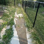 Catch Basin / Storm Drain Concerns at 484 Discovery Pl SW