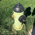 Fire Hydrant Concerns at 130 Royal Elm Wy NW