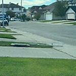 Sign on Street, Lane, Sidewalk - Repair or Replace at 276 Citadel Wy NW