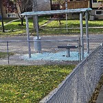 Bus Stop - Shelter Concern at 1136 Berkley Dr NW