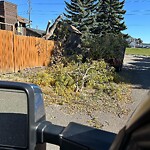 Debris on Backlane at 63 Templeson Rd NE