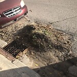 Catch Basin / Storm Drain Concerns at 5003 Stanley Rd SW