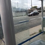 Bus Stop - Shelter Concern at 901 40 St SE