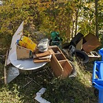 Debris on Backlane at 109 29 Av NW