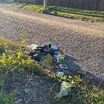 Debris on Backlane at 427 Forest Wy SE