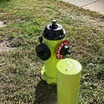 Fire Hydrant Concerns at 309 12 Av SE