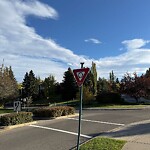 Sign on Street, Lane, Sidewalk - Repair or Replace at 3017 Carleton St SW