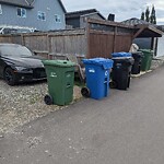 Debris on Backlane at 410 Walden Dr Se, Calgary, Ab T2 X 0 T1, Canada