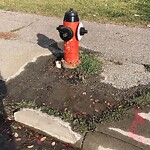 Fire Hydrant Concerns at 2810 Catalina Bv NE