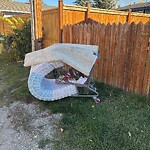 Debris on Backlane at 208 Lake Wood Pl SE