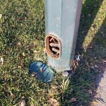 Streetlight Damage at 352 Weddenburn Rd SE