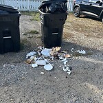 Debris on Backlane at 1018 16 St NE