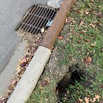 Catch Basin / Storm Drain Concerns at 1413 4 St NW