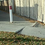 Sidewalk or Curb - Repair at 401 Panamount Bv NW