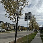 Sign on Street, Lane, Sidewalk - Repair or Replace at 971 Nolan Hill Blvd NW Northwest Calgary