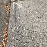 Sidewalk or Curb - Repair at 2542 1 Av NW