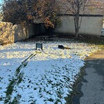 Debris on Backlane at 508 43 St SE