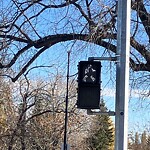 Traffic/Pedestrian Signal Repair at 541 Riverdale Av SW