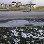 Catch Basin / Storm Drain Concerns at 86 Silverton Glen Gate SW