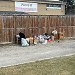 Debris on Backlane at 2905 Richmond Rd SW