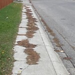 Sidewalk or Curb - Repair at 180 Haddon Rd SW