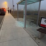 Bus Stop - Shelter Concern at 245 Masters Rd SE