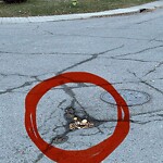 Pothole Repair at 2905 5 St NW