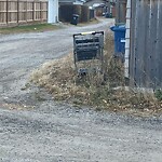 Debris on Backlane at 307 72 Av NE