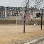 Debris on Street, Sidewalk, Boulevard at 11921 Country Village Li NE