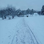 Snow On City - Maintained Sidewalk at 1428 22 St SW